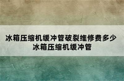 冰箱压缩机缓冲管破裂维修费多少 冰箱压缩机缓冲管